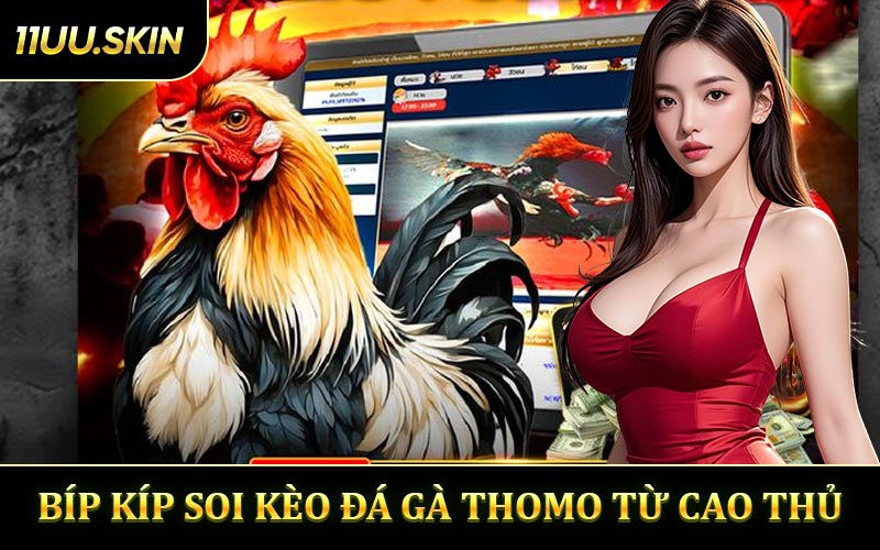 Bí Kíp Soi Kèo Đá Gà Thomo Từ Chuyên Gia