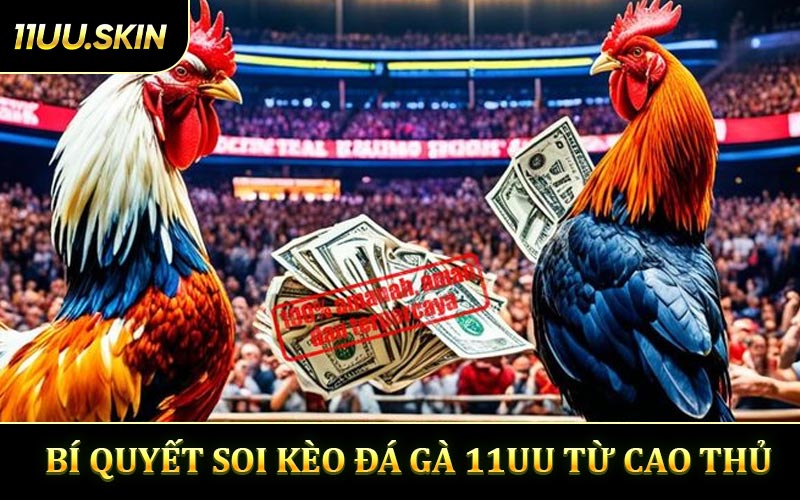 Bí Quyết Soi Kèo Đá Gà 11UU Từ Cao Thủ