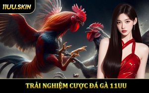 Đá Gà 11UU - Trải Nghiệm Cược Hấp Dẫn Thắng Thưởng Lớn