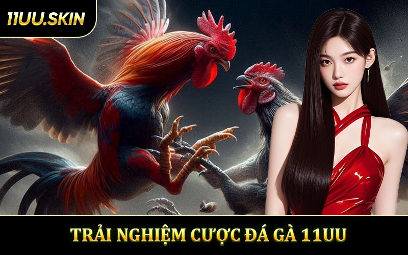 Đá Gà 11UU - Trải Nghiệm Cược Hấp Dẫn Thắng Thưởng Lớn
