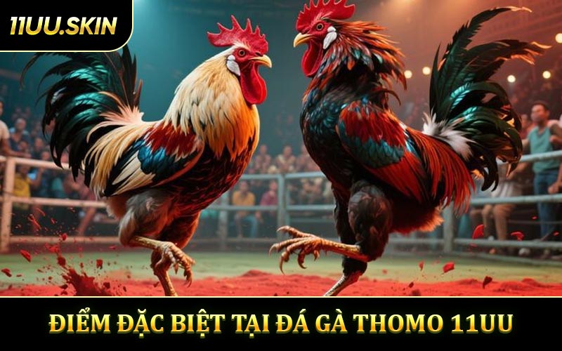 Điểm đặc biệt tại Đá Gà Thomo 11UU