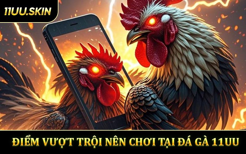 Vượt Trội Nên Chơi Tại Đá Gà 11UU