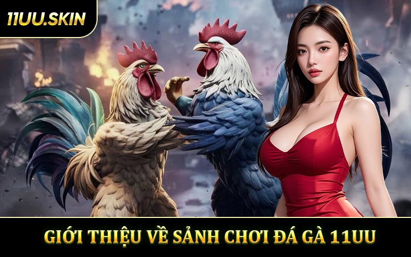 Giới Thiệu Về Sảnh Chơi Đá Gà 11UU