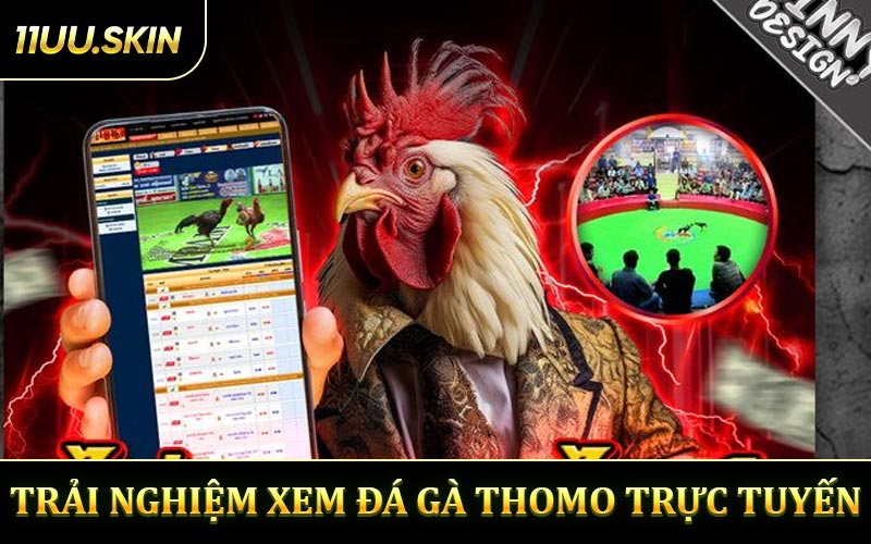 Trải Nghiệm Xem Đá Gà Thomo Trực Tuyến